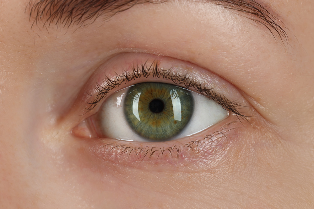 auge in Nahaufnahme zur Irisdiagnose